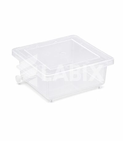 Staining Box